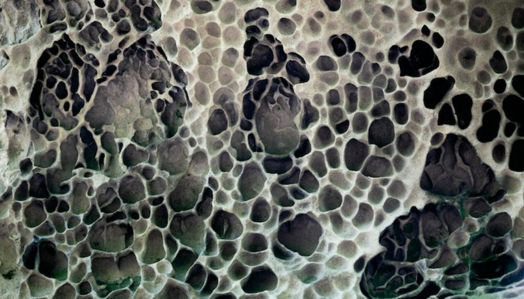 close-up of mold