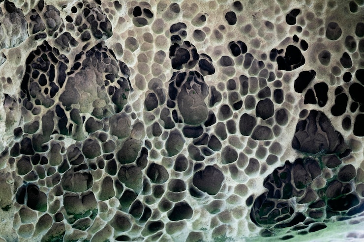 close-up of mold